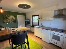 Wohnungen mitten im Salzkammergut