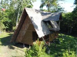 Amazon Uaturi Lodge Iquitos