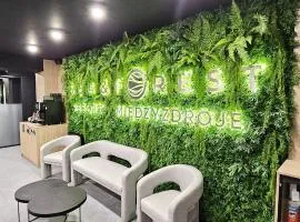 Sea&Forest Międzyzdroje Amber Suite