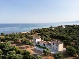 Olive Coast Houses