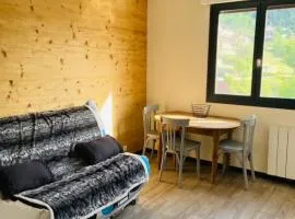 Studio à Gérardmer, les Dryades