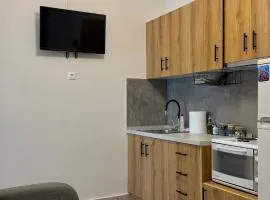 DownTown Apartment Konitsa