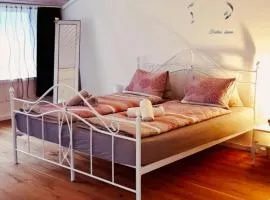 Muota River Loft & Muota Industry Apartment near Stoos