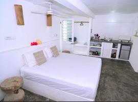 Banana Bay Beach Club，位于维拉港的带停车场的酒店