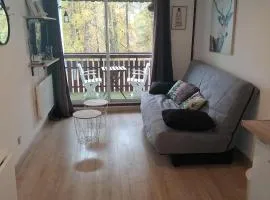 La Foux d'Allos STUDIO 4 PERSONNES 23m2 résidence les Etoiles