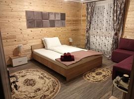 Casuta DM，位于Sadu的山林小屋