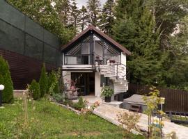 Cabana din padure，位于阿加皮亚的酒店