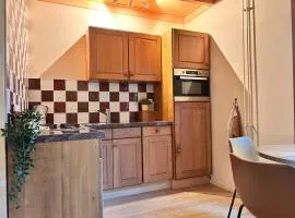 Sfeervol huisje in Friesland