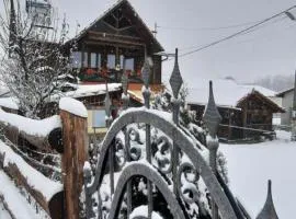 Cabana Ollie Retezat