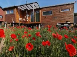 Tiny house with view of nature