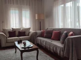 Mountain View Apartment