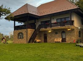 Casa meșterului，位于Sohodol的海滩酒店