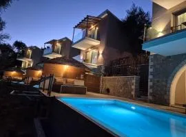 Filoxenia Olive Garden luxury villas and suites