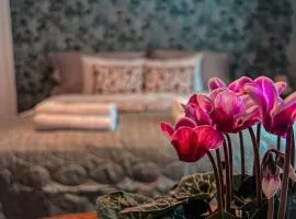 Daisy's Home Vimmerby