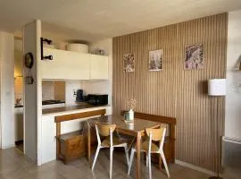 Appartemment pied des pistes