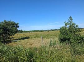 6 person holiday home in Blåvand-By Traum，位于布拉万德的酒店