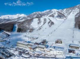 The Alps Hotel Hakuba，位于小谷村的酒店