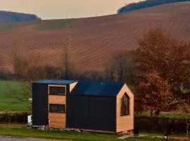 Mighty Fins Retreat X by Tiny Away