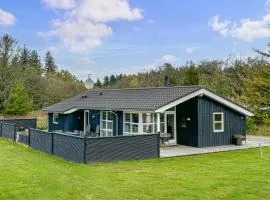 Lovely Home In Fjerritslev With Wifi