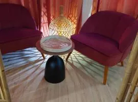 Ile verte entre CHU & vieille ville