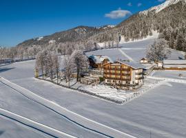 Hotel Ramsauhof Pool & Wellness Breakfast & Light Dinner Buffet，位于拉姆绍达赫斯坦的酒店