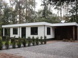 Kindvriendelijke bungalow in het bos bij zwemmeer.