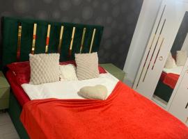 Slatina Armoniei central Studio，位于斯拉蒂纳的酒店