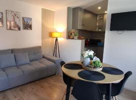 Free Garage in the Center-Delicia 4 ApartHotel，位于锡比乌的自助式住宿