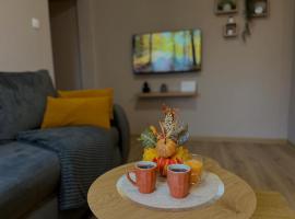 Apartman Momirov Titel，位于Železnička Stanica Donji Titel的酒店