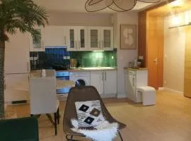 Beautiful cocooning appartement