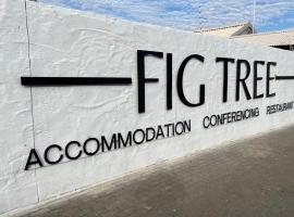 Fig Tree Guesthouse，位于温特和克的酒店