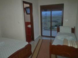 Hotel Aleksander，位于Liqenas的酒店