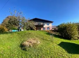 Gite 4 pers Le Tholy avec piscine privée