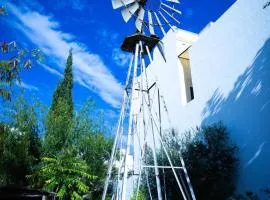Windmill Hostel