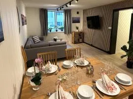 City apt with 2 bedrooms and kitchen - Hydrus