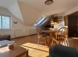 Srdce Mesta 3 - slnečný apartmán V Podkroví s balkónom nad ulicou