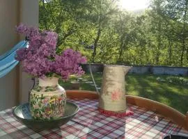 Orma, pet friendly retreat studio