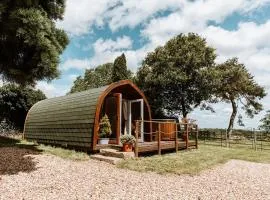Secluded Cosy Luxury Pod with wood fired hot tub