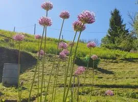 Ferienwohnung am Huthainberg