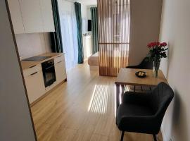 Apartament Anna przy Starówce，位于扎莫希奇的酒店