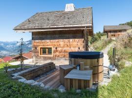 Mazot de la Pointe Percée，位于代米考迪亚的酒店