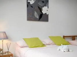Maya Suite