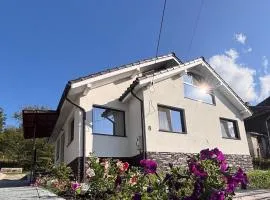 Charming Little House in Brad