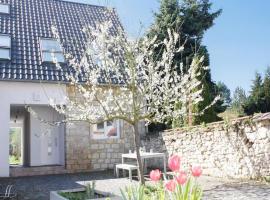 Hofhaus Land-Idylle in der Stadt，位于美因茨的酒店