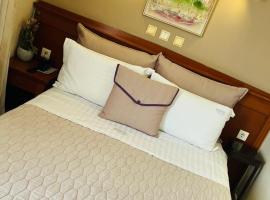 特里同比雷埃弗斯酒店，位于比雷埃夫斯的酒店