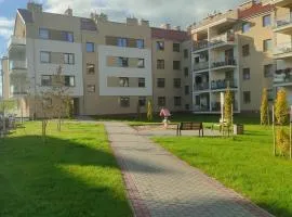 Mieszkanie do wynajęcia