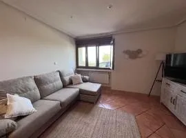 El Caracol azul del Plano