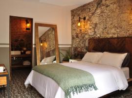 Clandestino Hotel Recreo - Adults Only，位于圣米格尔-德阿连德的酒店