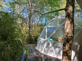 Domos Conguillío - Glamping Domo