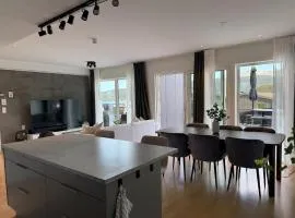 Large luxurious apartment with private terrace and parking